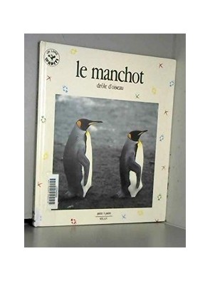 Manchot Drole D Oiseau