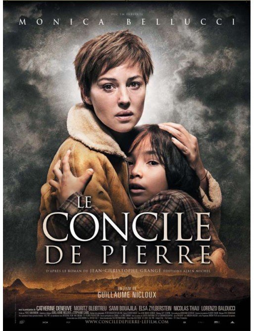 Le concile de pierre (DVD) Le concile de pierre (DVD)