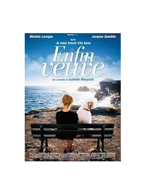 Enfin veuve (DVD)