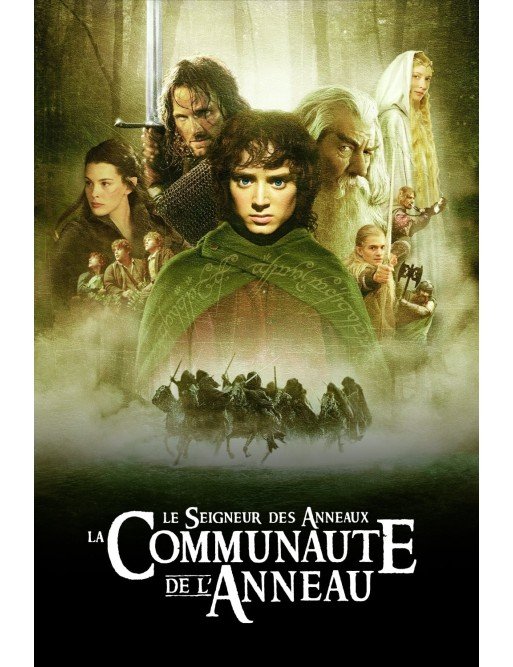 Le Seigneur des anneaux : La Communauté de l'Anneau (DVD)