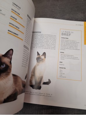 Chats - Guide Complet Par '