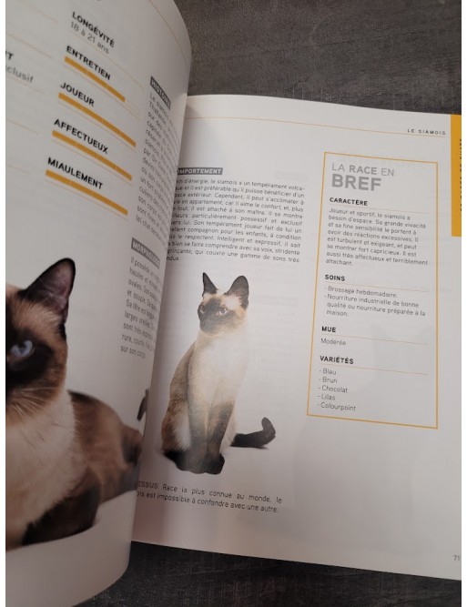 Chats - Guide Complet Par '