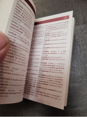 Mini dictionnaire Français-Portugais/Portugais-Français Par Larousse