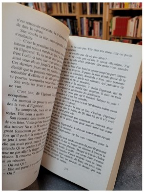 Le Chinois de Henning Mankell