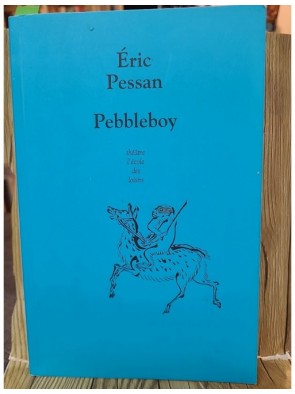 Pebbleboy d'Eric Pessan