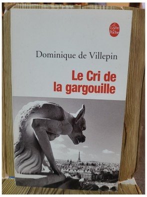 Le Cri de la gargouille de Dominique de Villepin