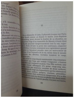 L'homme à l'envers de Vargas Fred