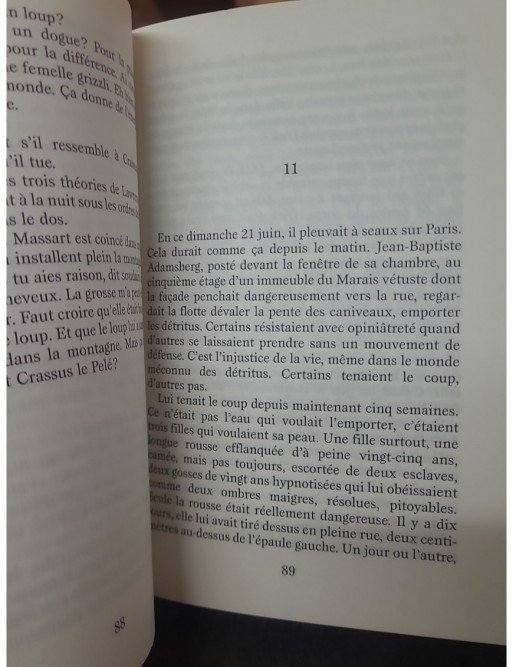 L'homme à l'envers de Vargas Fred