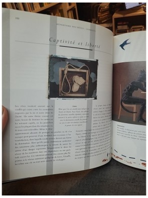 Le langage secret des rêves - Leurs symboles, leurs interprétations de Peter Malone David Fontana