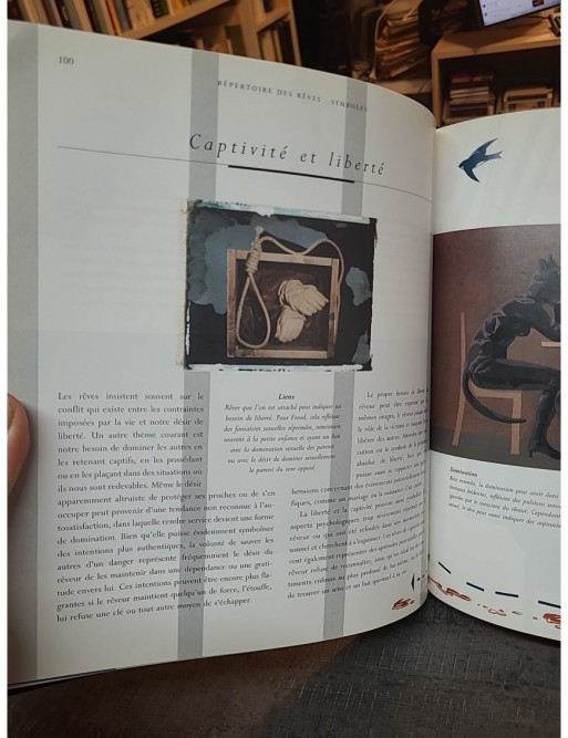 Le langage secret des rêves - Leurs symboles, leurs interprétations de Peter Malone David Fontana