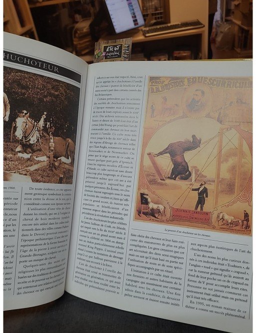 Les Sectes de Michael Jordan