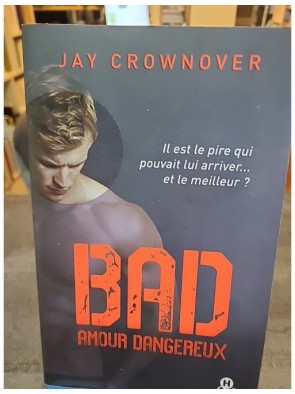 Bad Tome 2 - Amour...