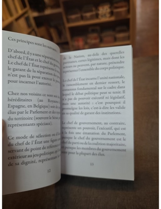 Le Président absolu - La Ve République contre la démocratie de Philippe Fabry