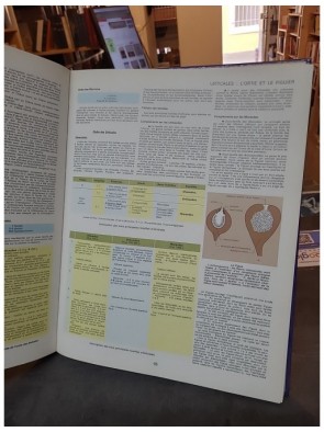 Les Plantes. Edition 1984 de Roger Caratini