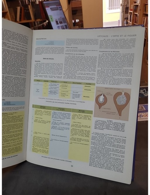 Les Plantes. Edition 1984 de Roger Caratini