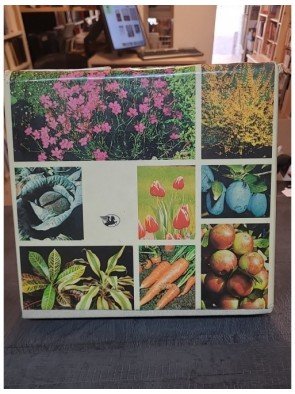 Savoir tout faire au jardin