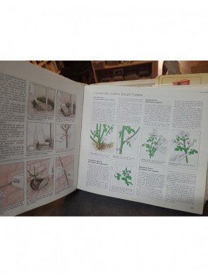 Savoir tout faire au jardin