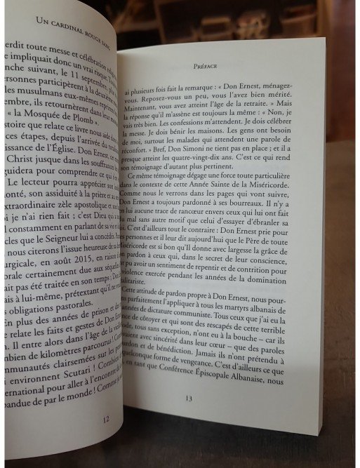 Un cardinal rouge sang - Don Ernest Simoni: Rescapé des travaux forcés en Albanie de Mimmo Muolo