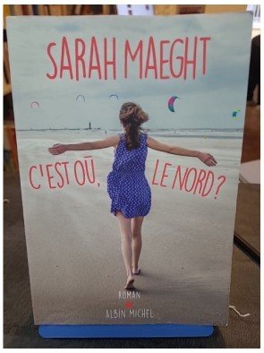C'est oü, le nord ? de Sarah Maeght