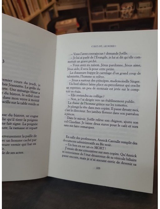 C'est oü, le nord ? de Sarah Maeght