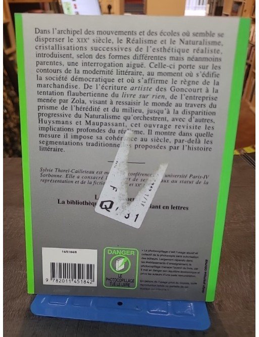 Panorama de la Littérature Française - Réalisme et naturalisme de Sylvie Thorel-Cailleteau
