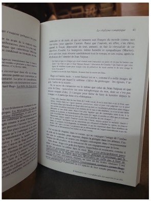 Panorama de la Littérature Française - Réalisme et naturalisme de Sylvie Thorel-Cailleteau