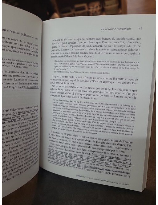 Panorama de la Littérature Française - Réalisme et naturalisme de Sylvie Thorel-Cailleteau