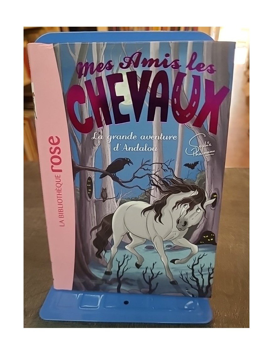 Mes Amis Les Chevaux Tome 21 - La Grande Aventure D'andalou d'Hachette Livre
