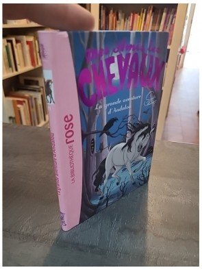 Mes Amis Les Chevaux Tome 21 - La Grande Aventure D'andalou d'Hachette Livre