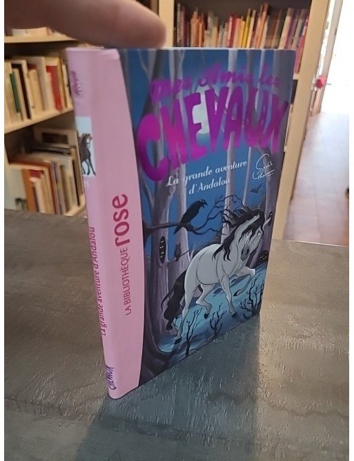 Mes Amis Les Chevaux Tome 21 - La Grande Aventure D'andalou d'Hachette Livre