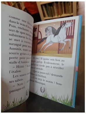 Mes Amis Les Chevaux Tome 21 - La Grande Aventure D'andalou d'Hachette Livre