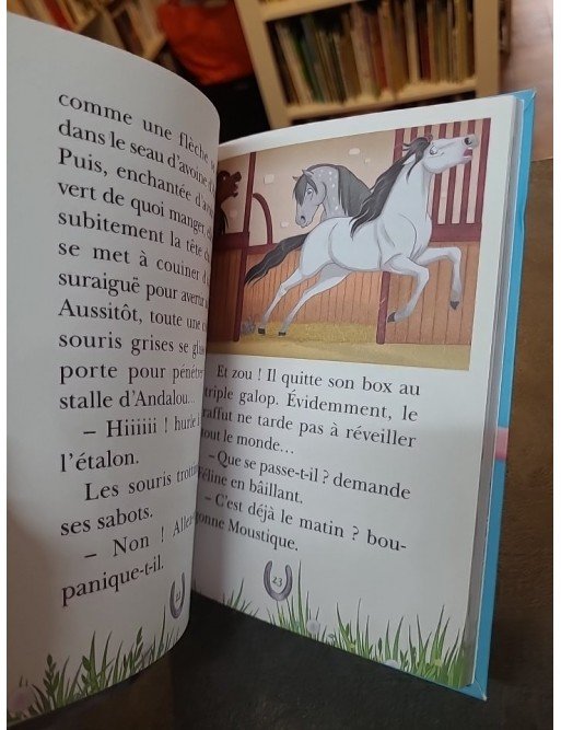Mes Amis Les Chevaux Tome 21 - La Grande Aventure D'andalou d'Hachette Livre