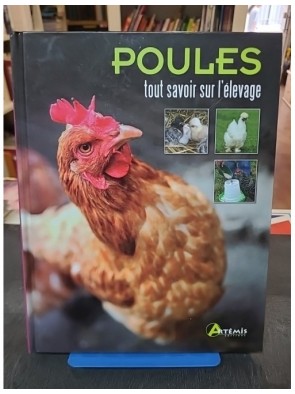 Poules - Tout savoir sur...