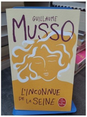 L'Inconnue de la Seine de Guillaume Musso