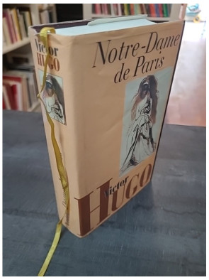 Notre-Dame De Paris de Victor Hugo