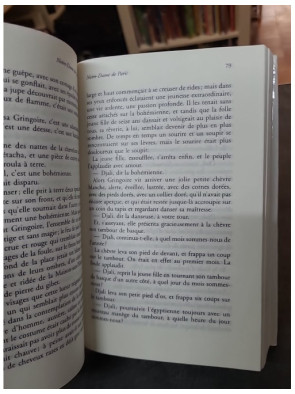 Notre-Dame De Paris de Victor Hugo