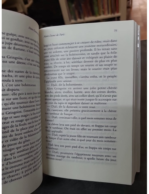 Notre-Dame De Paris de Victor Hugo