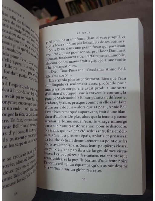La crue - L'épique saga de la famille Caskey de Michael McDowell