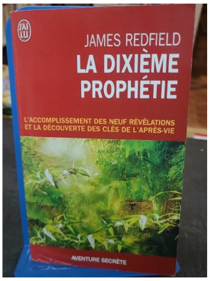 La dixième prophétie -...