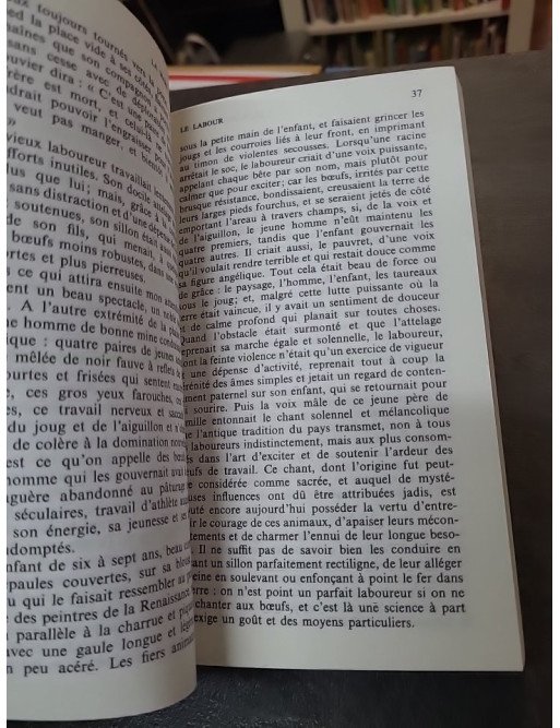 La Mare au diable de George Sand