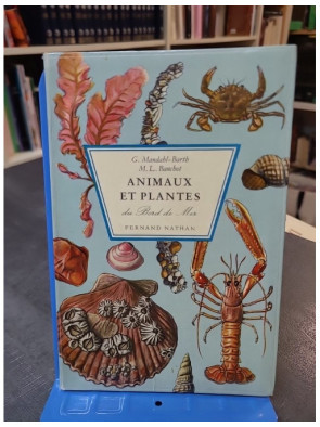 Animaux et plantes du bord...