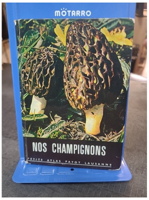 Nos champignons