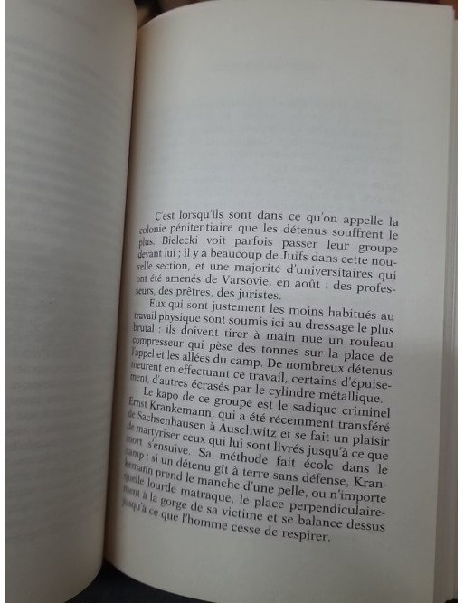 Un amour a Auschwitz de Thilo Thielke