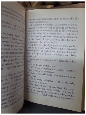 Les soleils de Bali de Danielle Martinigol