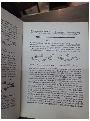 Le brochet ses moeurs, ses pêches de Raoul Renault
