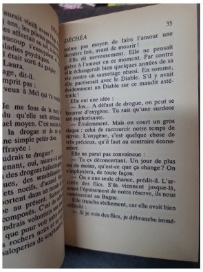 Déchéa de Max-André RAYJEAN