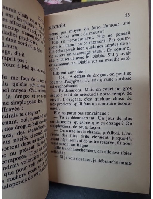 Déchéa de Max-André RAYJEAN