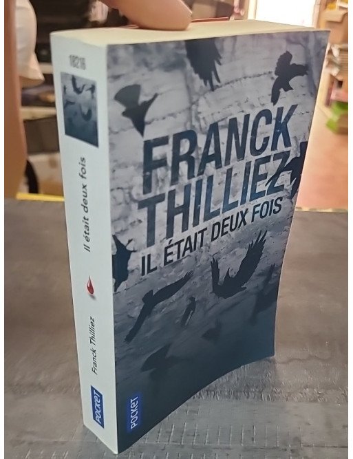 Il était deux fois... de Franck Thilliez