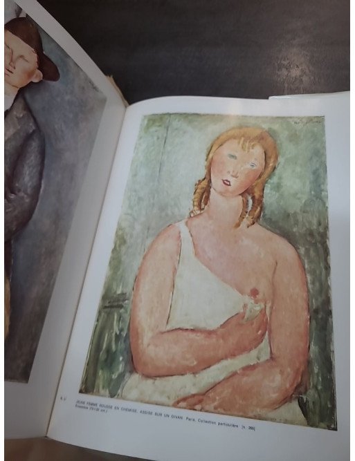 Tout l'œuvre peint de Modigliani, par Simone Darses