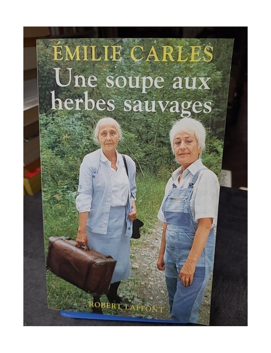 Une soupe aux herbes sauvages, par Émilie Carles